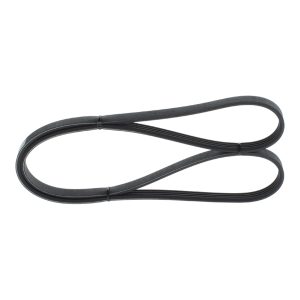 Curea transmisie cu caneluri BOSCH 1 987 948 380 LAND ROVER RANGE ROVER I 3,947 cmc (37 D, 38 D) benzina 173 BOSCH 1 987 948 380