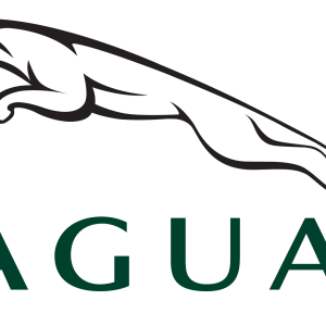Filtru ulei OE JAGUAR JDE37128 LAND ROVER RANGE ROVER EVOQUE Cabriolet (L538) 1,999 cmc (204DTA(AJ20D4) diesel 241 OE JAGUAR JDE37128