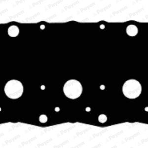 Garnitura capac supape PAYEN JM5035 LAND ROVER FREELANDER I (L314) 2,497 cmc (25 K4F) benzina 177 PAYEN JM5035