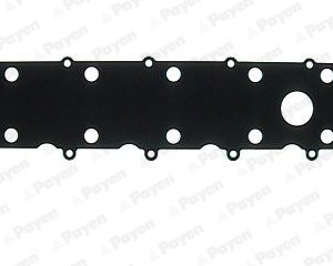 Garnitura capac supape PAYEN JP097 LAND ROVER FREELANDER I (L314) 1,994 cmc (20 T2N) diesel 98 PAYEN JP097