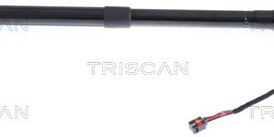 Amortizor portbagaj TRISCAN 8710 17305 LAND ROVER RANGE ROVER SPORT I (L320) 2,720 cmc (276DT(TDV6) diesel 190 TRISCAN 8710 17305