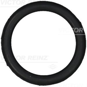 Garnitura capac supape VICTOR REINZ 71-10983-00 LAND ROVER DISCOVERY III (L319) 4,394 cmc (448PN(AJV8) benzina 299 VICTOR REINZ 71-10983-00