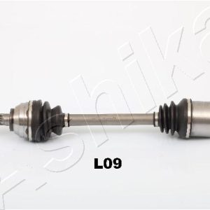 Planetara ASHIKA 62-0L-L09 LAND ROVER FREELANDER I (L314) 1,951 cmc (204D3(M47D20) diesel 109 ASHIKA 62-0L-L09