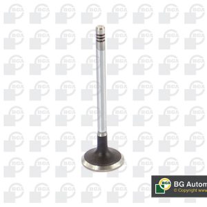 Supapa admisie BGA V424831 LAND ROVER DISCOVERY V (L462) 2,993 cmc (306DT(TDV6) diesel 211 BGA V424831