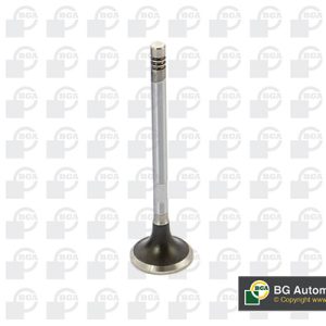 Supapa evacuare BGA V424832 LAND ROVER DISCOVERY III VAN (L319) 2,720 cmc (276DT(TDV6) diesel 190 BGA V424832