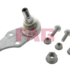 Pivot FAG 825 0065 10 LAND ROVER FREELANDER I (L314) 1,951 cmc (204D3(M47D20) diesel 109 FAG 825 0065 10