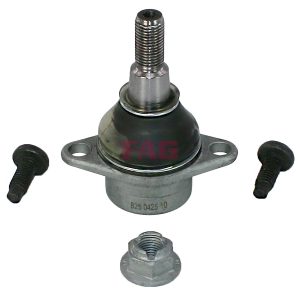 Pivot FAG 825 0425 10 LAND ROVER RANGE ROVER III (L322) 4,196 cmc (428PS(AJV8) benzina 405 FAG 825 0425 10