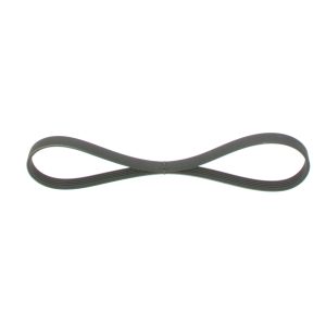 Curea transmisie cu caneluri BOSCH 1 987 946 026 LAND ROVER RANGE ROVER III (L322) 2,926 cmc (306D1(M57D30) diesel 177 BOSCH 1 987 946 026