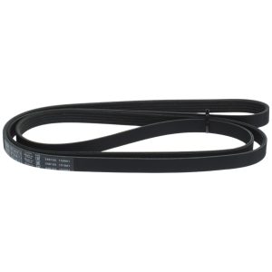 Curea transmisie cu caneluri BOSCH 1 987 948 331 LAND ROVER FREELANDER I (L314) 1,951 cmc (204D3(M47D20) diesel 112 BOSCH 1 987 948 331