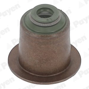 Etansare supape PAYEN PA6095 LAND ROVER FREELANDER I (L314) 1,951 cmc (204D3(M47D20) diesel 112 PAYEN PA6095