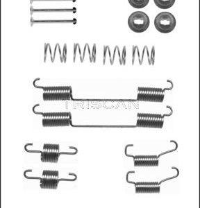 Set accesorii sabot de frana TRISCAN 8105 172466 LAND ROVER RANGE ROVER II (P38A) 4,553 cmc (46 D) benzina 224 TRISCAN 8105 172466