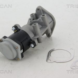 Supapa EGR TRISCAN 8813 17008 LAND ROVER RANGE ROVER SPORT I (L320) 2,720 cmc (276DT(TDV6) diesel 190 TRISCAN 8813 17008