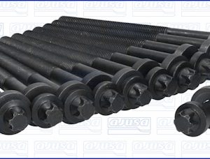 Set surub chiulasa AJUSA 81012300 LAND ROVER RANGE ROVER III (L322) 2,926 cmc (306D1(M57D30) diesel 177 AJUSA 81012300