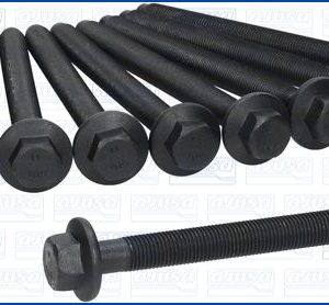 Set surub chiulasa AJUSA 81065700 LAND ROVER RANGE ROVER IV (L405) 4,367 cmc (448DT(DITC) diesel 340 AJUSA 81065700