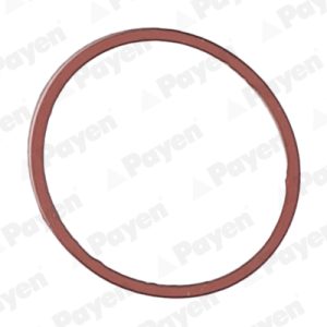 Garnitura Carcasa galerie admisie PAYEN JD5107 – imagine produs