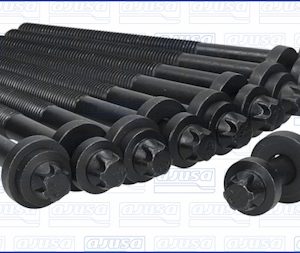 Set surub chiulasa AJUSA 81018400