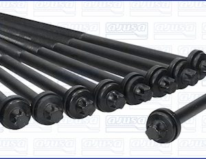 Set surub chiulasa AJUSA 81019100