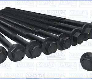 Set surub chiulasa AJUSA 81021400