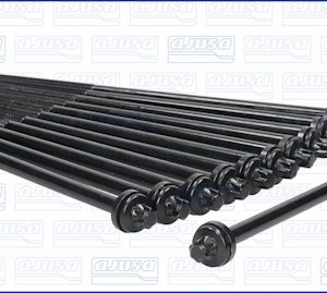 Set surub chiulasa AJUSA 81034100