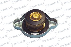 Buson radiator MAZDA 323 II limuzina (BD) 1.1 (BD101) benzina 54 cai TRICLO 316427