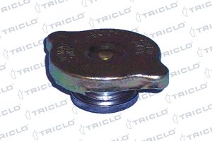 Buson radiator MAZDA 3 (BM, BN) 2.2 D diesel 150 cai TRICLO 318001