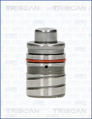 Culbutor supapa MAZDA 121 I (DA) 1.3 (DA103) benzina 55 cai TRISCAN 80-50000