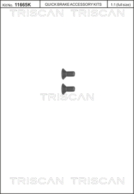 Set surub disc frana MAZDA 121 I (DA) 1.1 (DA101) benzina 57 cai TRISCAN 8105 116006