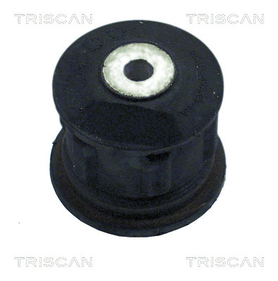 Suport ax MAZDA 121 III (JASM, JBSM) 1.25 benzina 75 cai TRISCAN 8500 16815