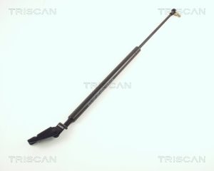 Amortizor portbagaj MAZDA 323 C IV (BG) 1.8 16V Turbo 4WD (BG8S) benzina 185 cai TRISCAN 8710 50205