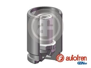 Piston etrier frana MAZDA 3 (BM, BN) 2.0 benzina 165 cai AUTOFREN SEINSA D025602K