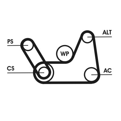 Set curea transmisie cu caneluri MAZDA 2 (DY) 1.2 (DY3W) benzina 75 cai CONTITECH 6PK1019 ELAST T1
