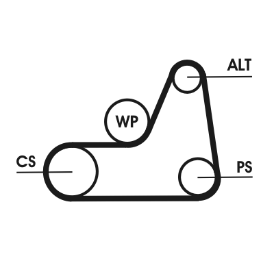Set curea transmisie cu caneluri MAZDA 2 (DY) 1.2 (DY3W) benzina 75 cai CONTITECH 6PK1042 ELAST T1