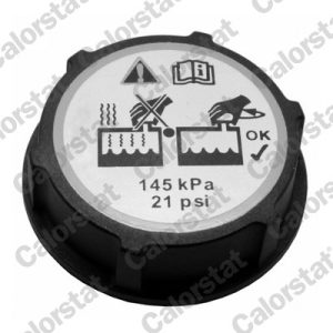 Buson vas expansiune MAZDA 3 (BL) 2.0 DISI (BLEFW) benzina 150 cai CALORSTAT BY VERNET RC0150