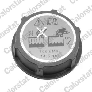 Buson vas expansiune MAZDA 3 (BL) 2.2 MZR CD (BL10) diesel 185 cai CALORSTAT BY VERNET RC0191