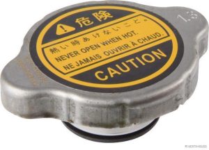 Buson vas expansiune HERTH BUSS JAKOPARTS J1543003
