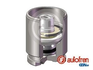 Piston etrier frana AUTOFREN SEINSA D025120K