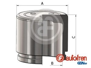 Piston etrier frana AUTOFREN SEINSA D025699