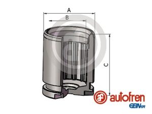 Piston etrier frana AUTOFREN SEINSA D025804