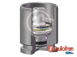 Piston etrier frana AUTOFREN SEINSA D02593K