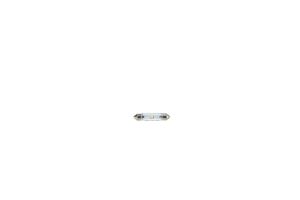 Bec lumini interioare BOSCH 1 987 301 509