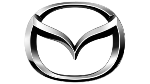 Garnitura galerie admisie KAMOKA 8704174 – MAZDA | AutoRival