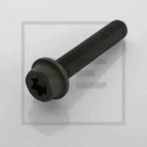 Surub disc frana MERCEDES-BENZ ACTROS MP2 / MP3 3335 S diesel 354 cai PE AUTOMOTIVE 016.176-00A