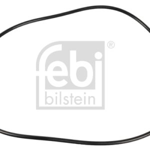 Inel de etansare butuc roata MERCEDES-BENZ ACTROS 2557 L diesel 571 cai FEBI BILSTEIN 08008