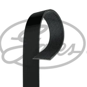 Curea transmisie cu caneluri MERCEDES-BENZ ACTROS 1831 LL diesel 313 cai GATES 11PK1920HD