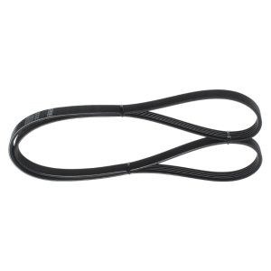 Curea transmisie cu caneluri MERCEDES-BENZ A-CLASS (W168) A 210 (168.035, 168.135) benzina 140 cai BOSCH 1 987 947 871