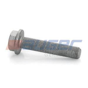 Surub disc frana MERCEDES-BENZ ACTROS MP2 / MP3 1848, L, LL diesel 476 cai AUGER 77251