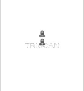 Set surub disc frana MERCEDES-BENZ A-CLASS (W177) A 220 Mild-Hybrid 4-matic (177.045) benzina/elector 190 cai TRISCAN 8105 116002