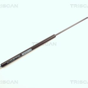 Amortizor portbagaj MERCEDES-BENZ A-CLASS (W168) A 140 (168.031, 168.131) benzina 82 cai TRISCAN 8710 23202