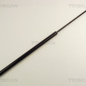 Amortizor portbagaj MERCEDES-BENZ M-CLASS (W163) ML 270 CDI (163.113) diesel 163 cai TRISCAN 8710 23208