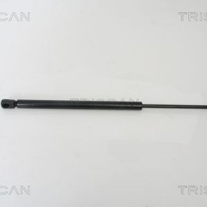 Amortizor portbagaj MERCEDES-BENZ A-CLASS (W169) A 180 (169.032, 169.332) benzina 116 cai TRISCAN 8710 23212